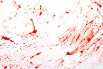 blood on white