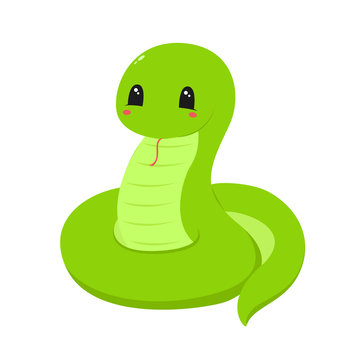 cute green snake vector