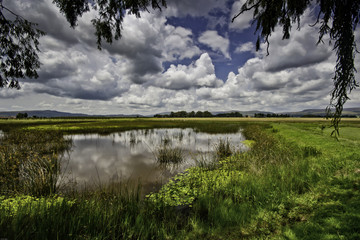 Obraz premium African Farm Lake
