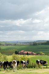 Fototapeta premium Uitzicht over het land van Herve, in de provincie Luik,Belgie.