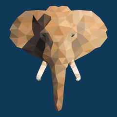 Naklejka premium The elephant face created in low poly design. Vector illustration