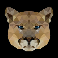 Vector illustration of puma's face consisting of triangles. Polygonal style