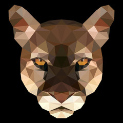 Vector illustration of puma's face consisting of triangles. Polygonal style