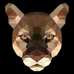 Vector illustration of puma's face consisting of triangles. Polygonal style