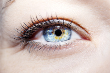 Fototapeta premium Beautiful insightful look blue woman's eyes