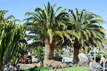 Spain, Canary Island