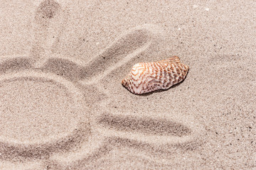 Sun drawn in sand, with seashells on the beach
