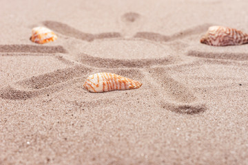 Sun drawn in sand, with seashells on the beach