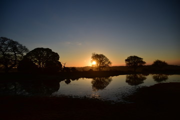 Mogshade pond New Forest Hampshire UK