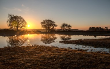 Mogshade pond New Forest Hampshire UK
