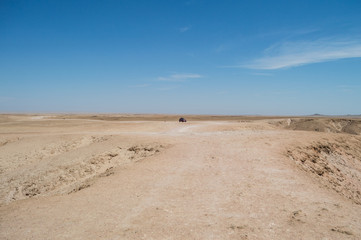 Desert Landscape with Car in Welwitschia Plains near Swakopmund, Namibia