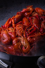 Crayfish.
