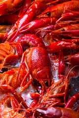 Crayfish.