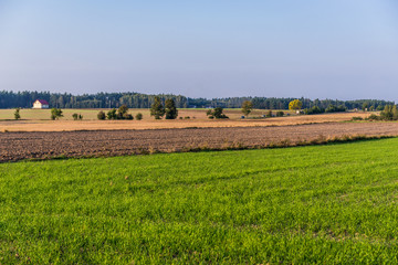 Fototapeta na wymiar Rural landscape in Pomorskie Region of Poland