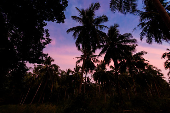 Tropical sunset on Koh Chang