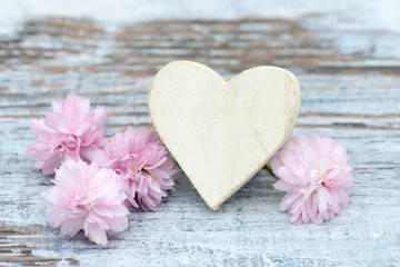 Fototapeta na wymiar cherry flowers with white heart on wood