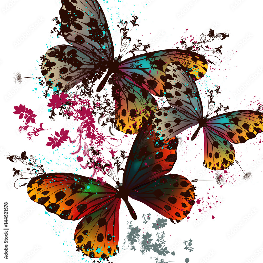 Poster butterfly vector design with colorful wings