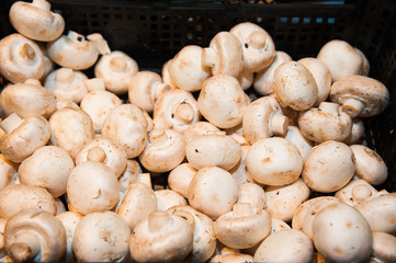 Mushrooms in shop