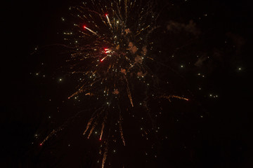 Fototapeta premium firework