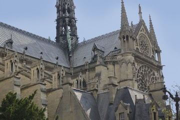 Fototapeta na wymiar View of the cathedral Notre-Dame de Paris