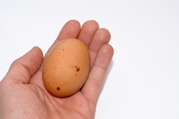 Ei in der Hand
