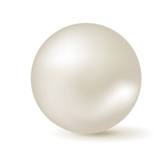 Vector isolated white pearl.