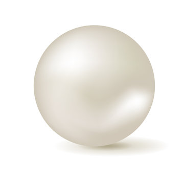 Vector isolated white pearl.