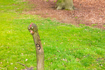 Funny wooden stick with face and number 9 marking walking route in Boekesteyn park, 's Graveland, Netherlands