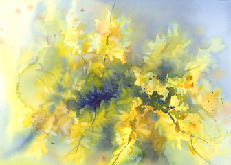 forsythia yellow flowers watercolor background