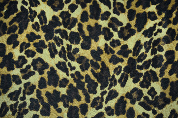 Closeup leopard fur texture