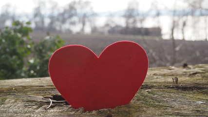 Fototapeta premium I LOVE YOU 309