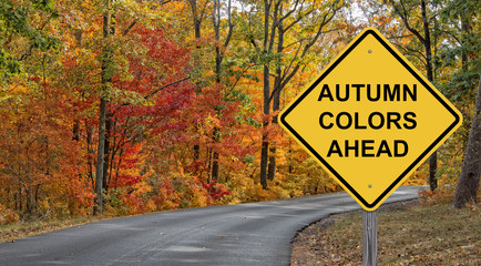 Autumn Colors Ahead