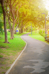 Obraz premium Bicycle asphalt path in the park on a sunny day.