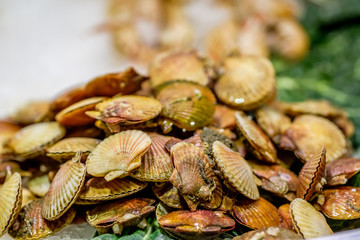 Fresh scallops on market display