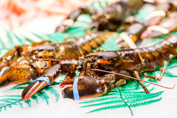 Lobsters at seafood market