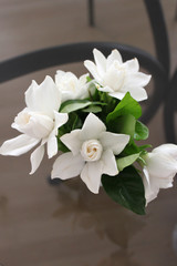 Bouquet of white jasmin with green leafs on gray background. Vertical view.