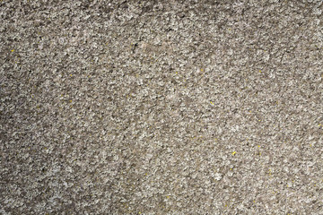 old grungy wall overgrown with moss for backgrounds
