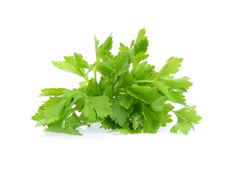 Celery isolated on white background