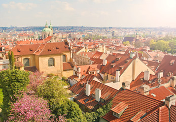 Obraz premium red tiled rooftops of european city on sunny spring day