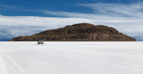 Isla Incahuasi at Salt Lake Uyuni (bolivia)