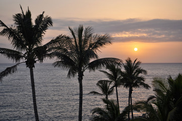 Obraz premium Palm silhouettes and sunset over the ocean.