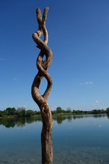 Naturobjekt aus Holz an einem See