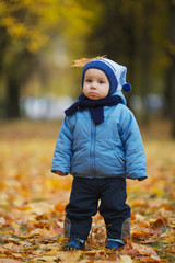cute little boy in autumn park