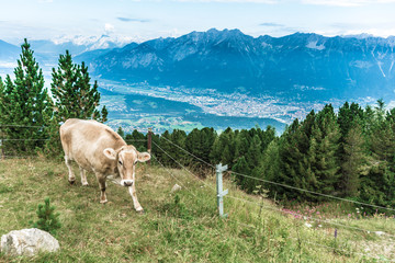 Fototapeta na wymiar Patscherkofel peak near Innsbruck, Tyrol, Austria.