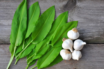 Wild garlic ramson or bear garlic with garlic bulb and garlic cloves on wooden background