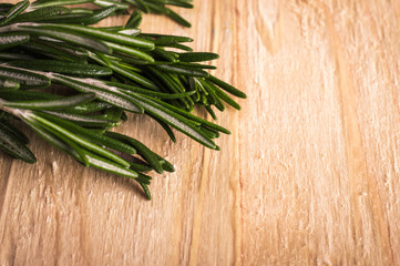 Rosemary on a wooden background