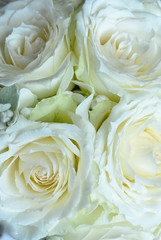 ブライダルイメージ,華麗で優美なとても素敵なウェディング