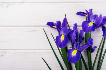 Bouquet of violet Irises on gray background with  copy space. Top view