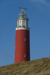 Fototapeta na wymiar Lighthouse, Texel the Netherlands