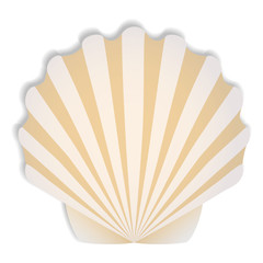 Shells in beige tones vector illustration. Summer themes, marine life.